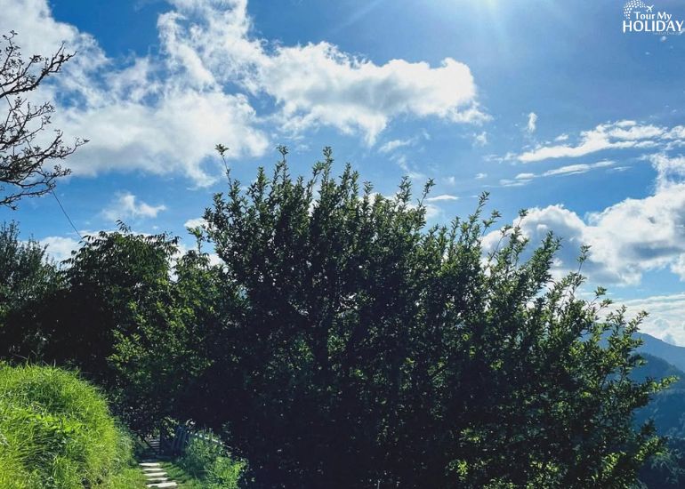 Top 10 Reasons to Book a Kanatal Tour Package from Delhi